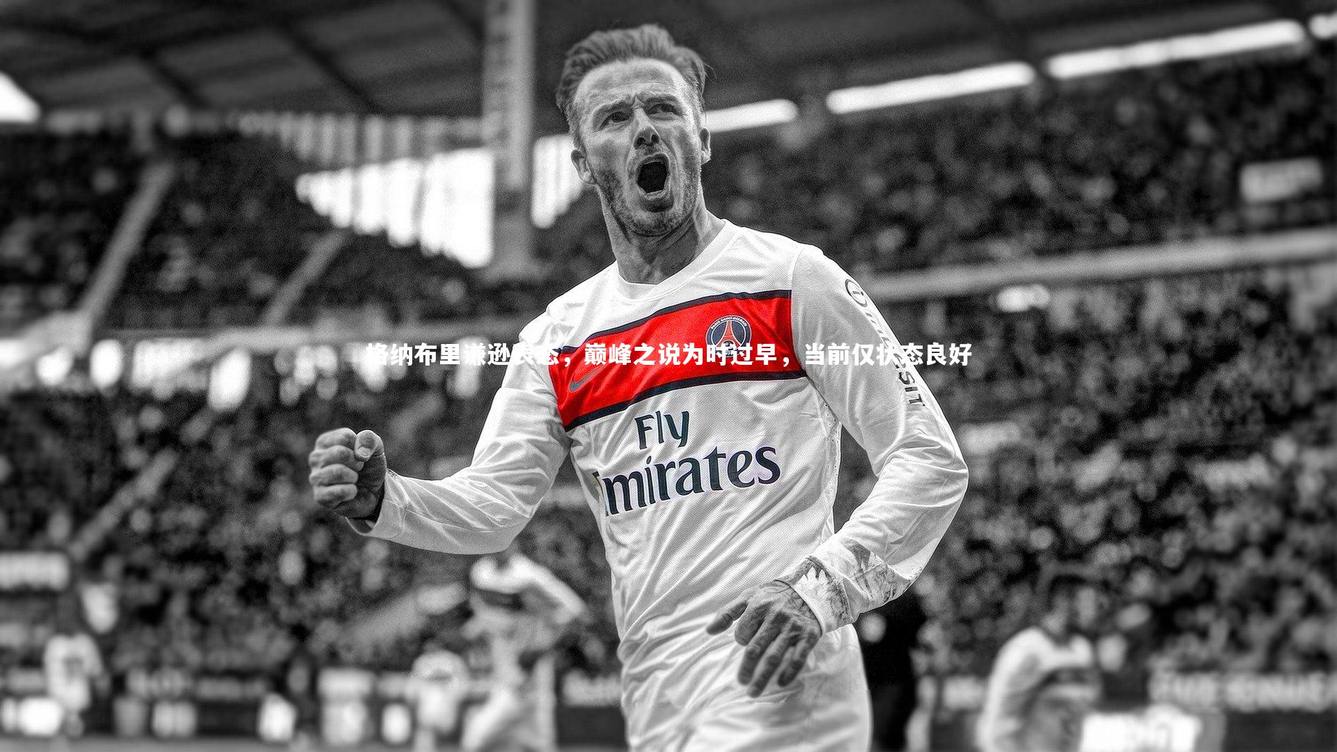 格纳布里谦逊表态，巅峰之说为时过早，当前仅状态良好